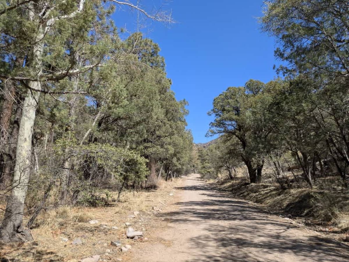 Rucker Canyon photo 3