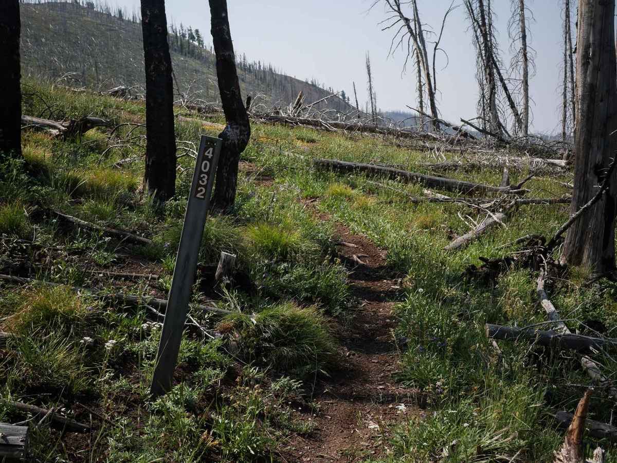 Hay Knapp Creek trail photo