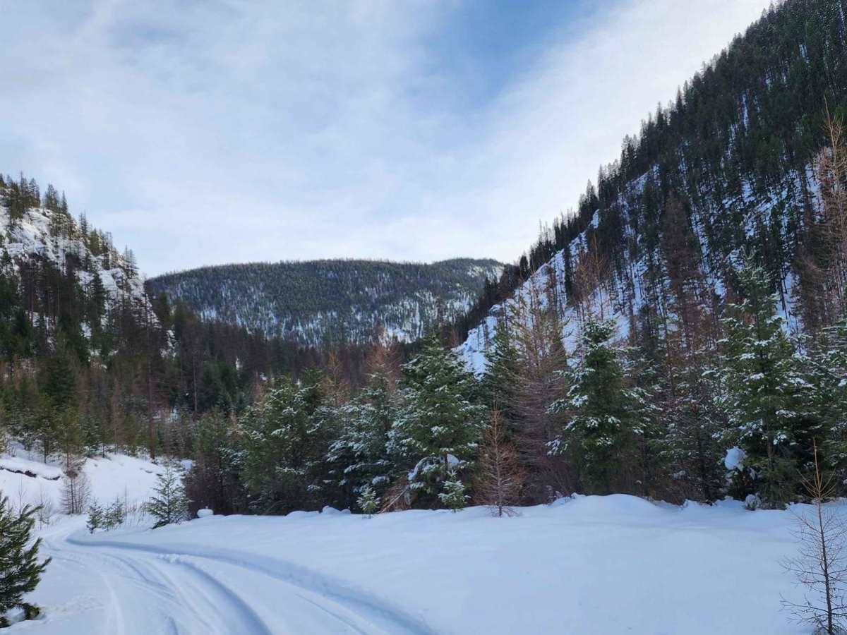 Booth Creek trail photo