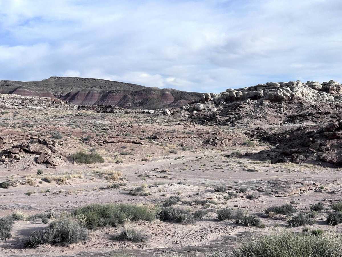 Ten Mile Road trail photo
