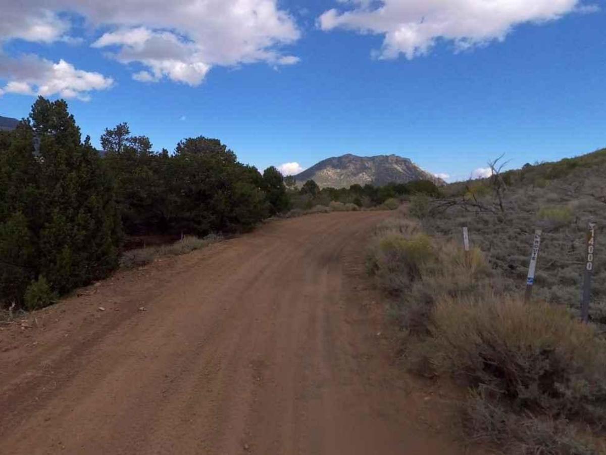 The Horn Road-BLM14000 photo 4