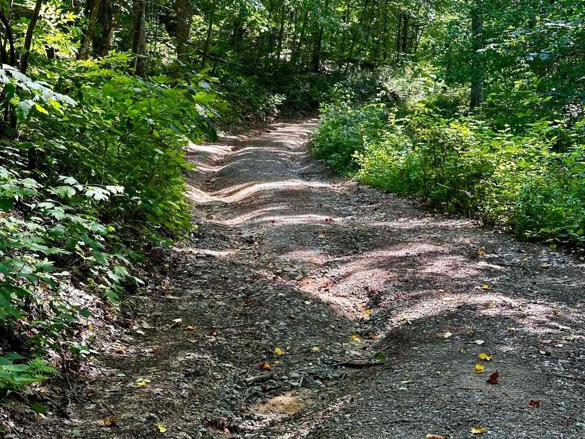 Long Creek Trail photo 5