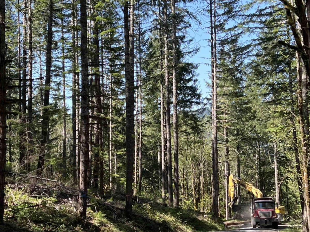 Timber Butte photo 3