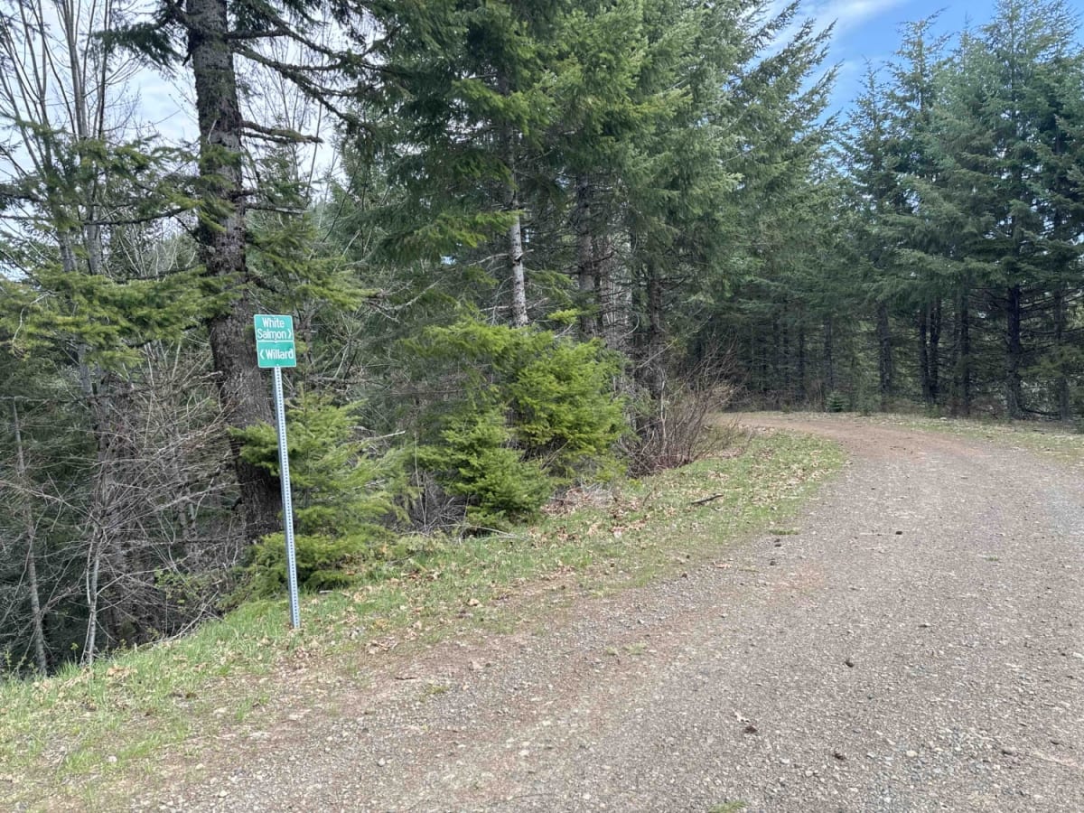 DNR N-4000 Road trail photo