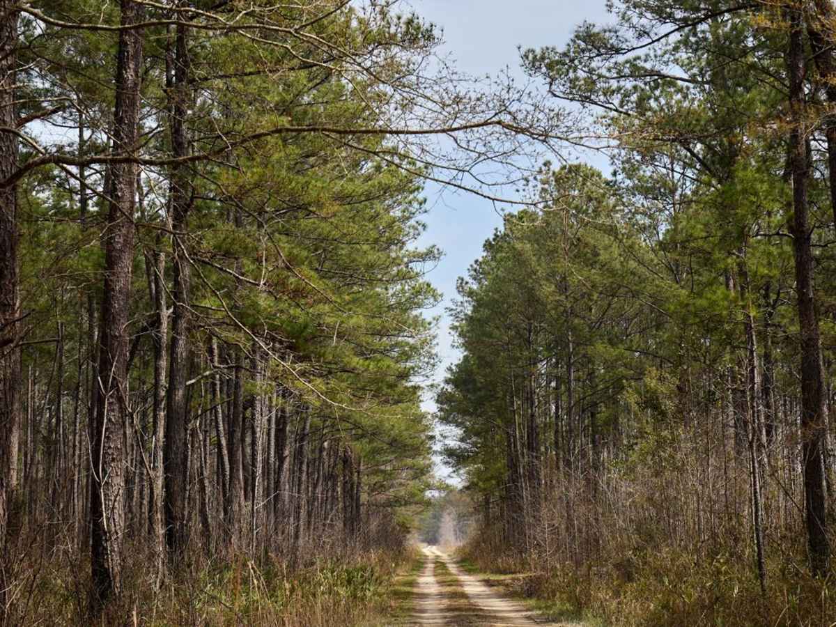 Buckle Island Alternative - FSR171b photo 2