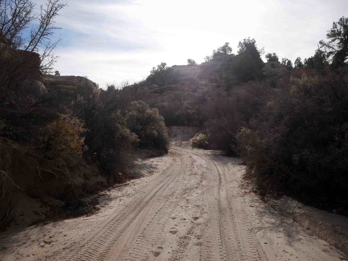 Skinny Canyon photo 4