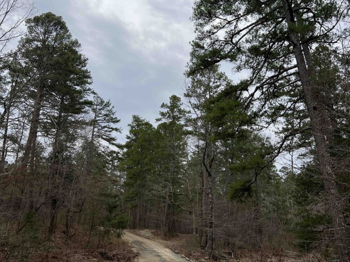 Prater Road 225 photo 6