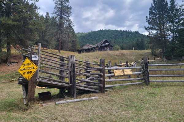 Tamarack Creek - FS 284