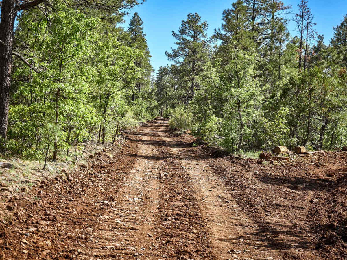 Sleeping Coyote Run photo 5