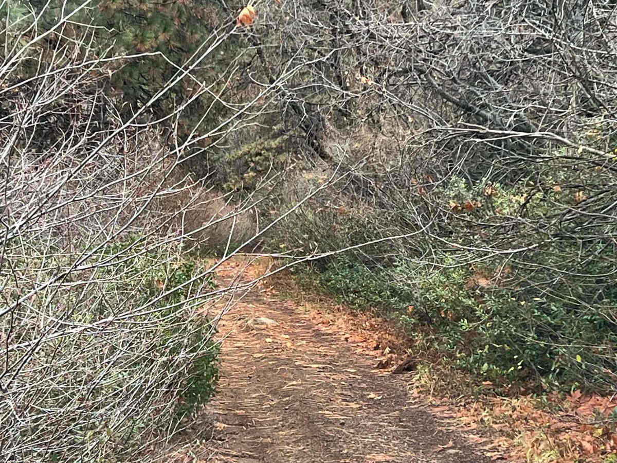 Wrights Crossing photo 5