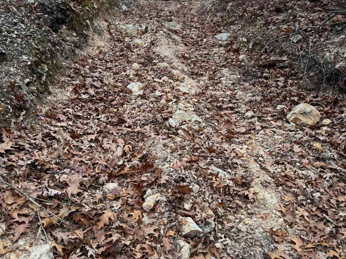 Arch Cave Cliff Drive - 274 photo 3