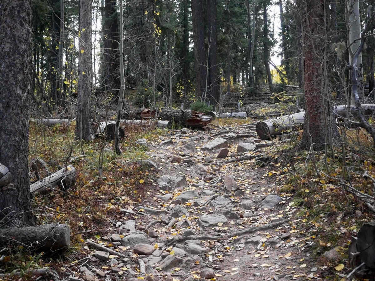 Middle Mountain photo 4