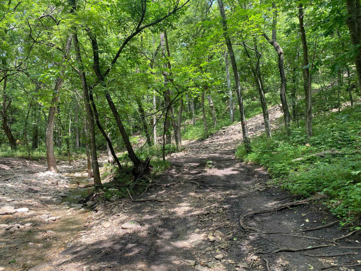 Rattlesnake Alley photo 3
