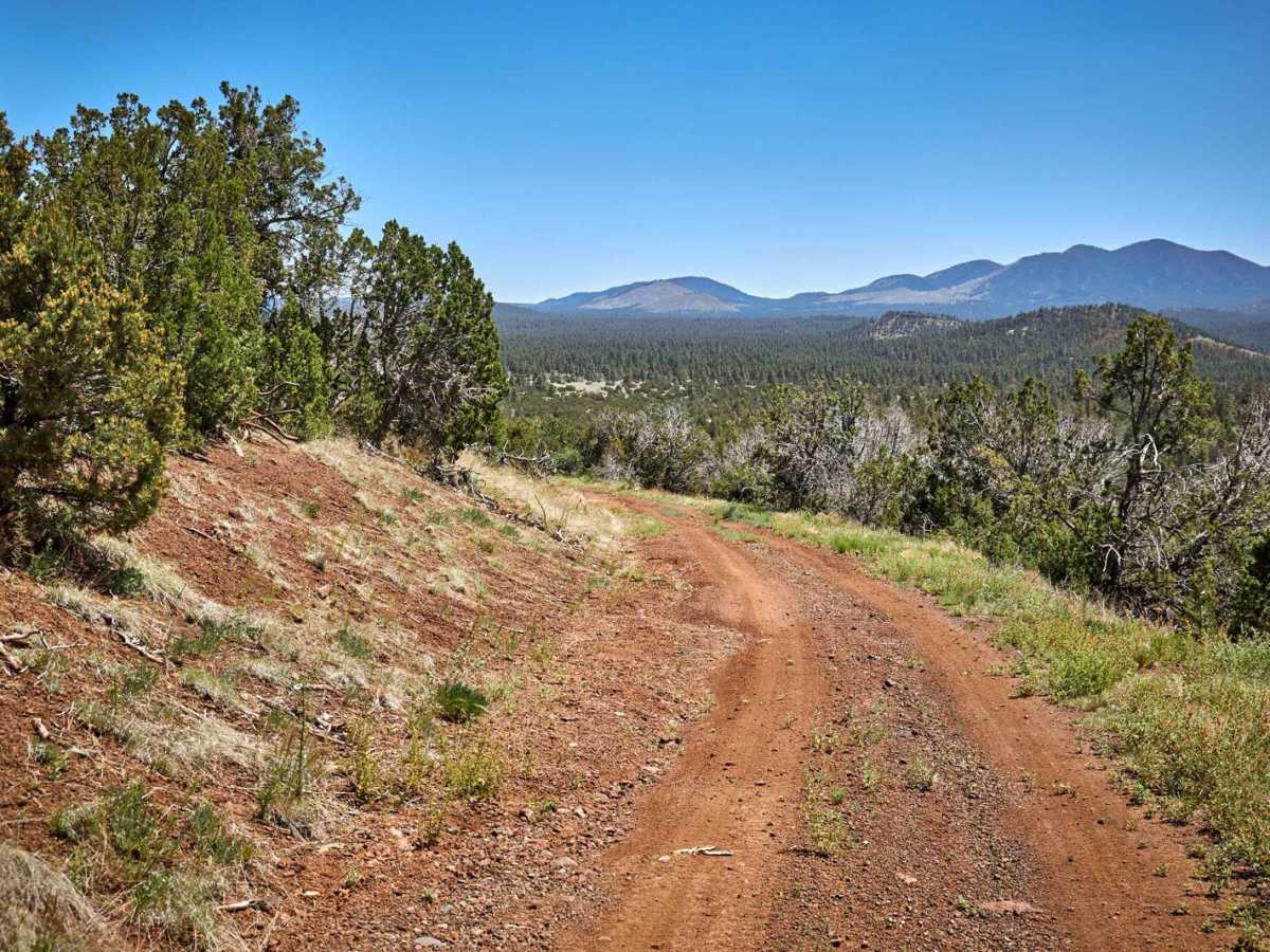 Red Hill Road photo 4