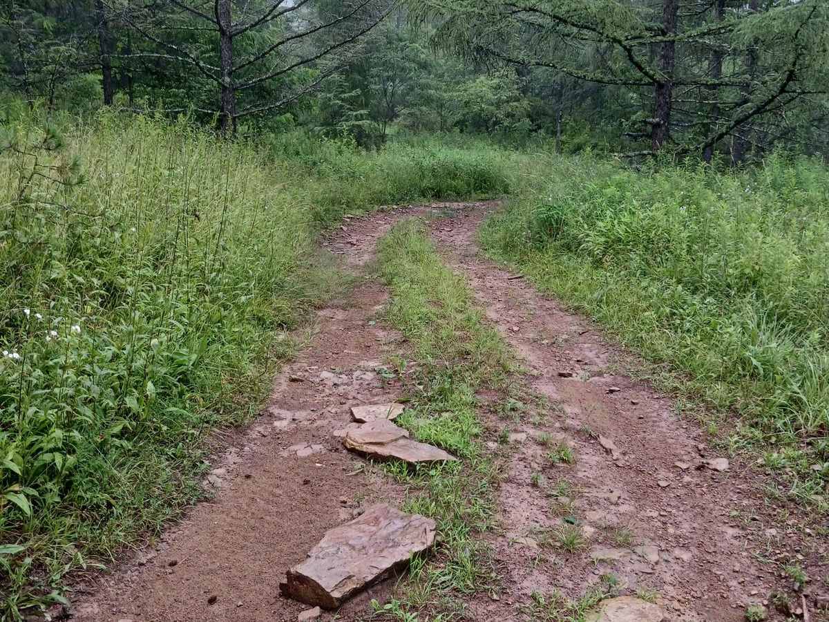 Trail 3D - Rock Run Recreation Area photo 2