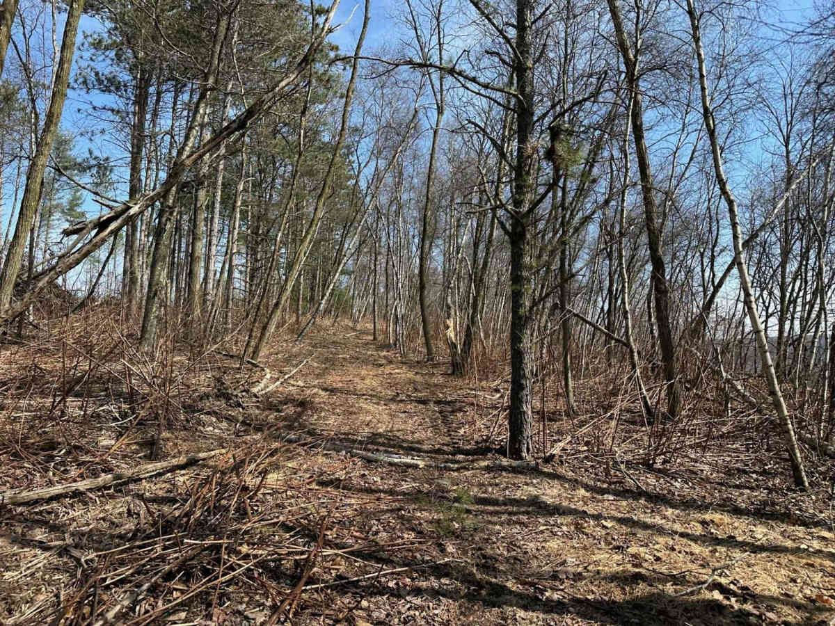 Ashland 190 photo 5