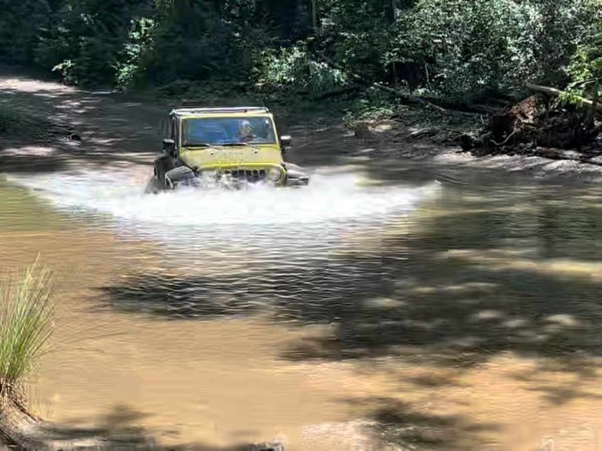 Conasauga Creek photo 4