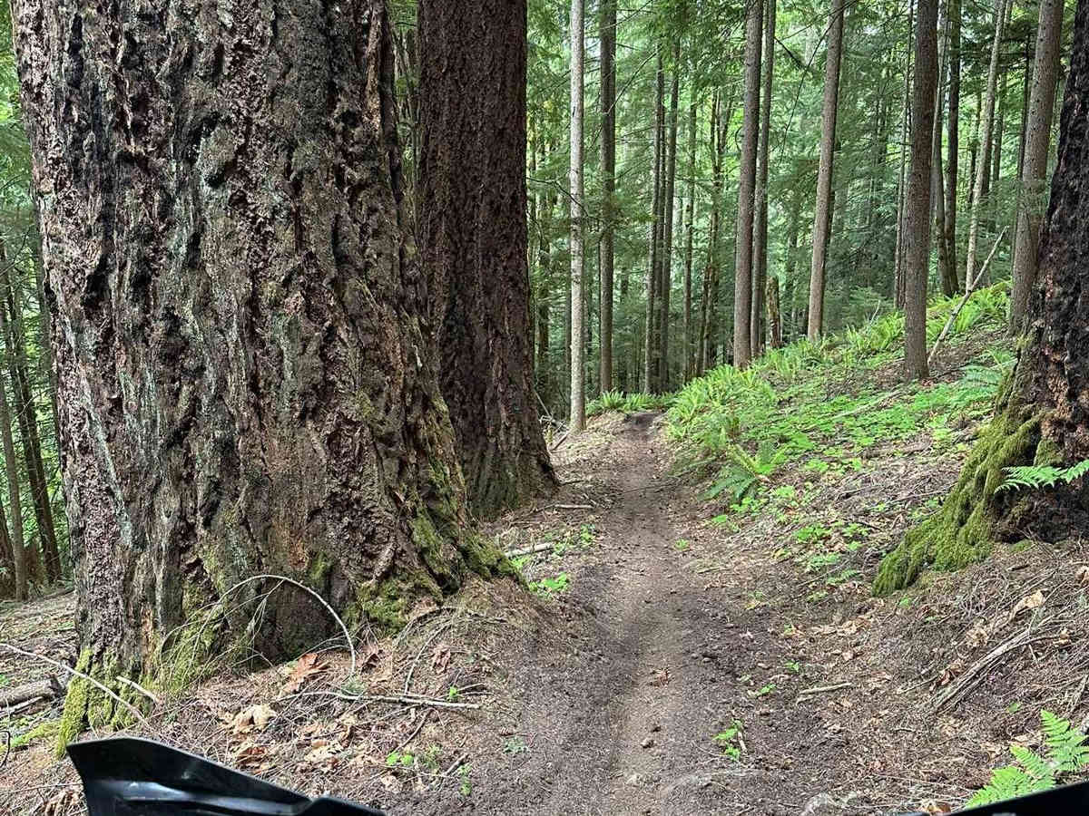 Kraus Ridge photo 6