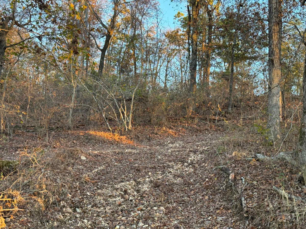 Red 157 photo 4