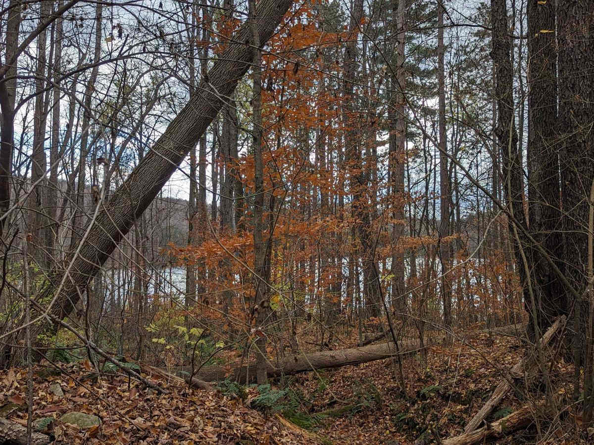 Whitney Place to New Lenox Road photo 6