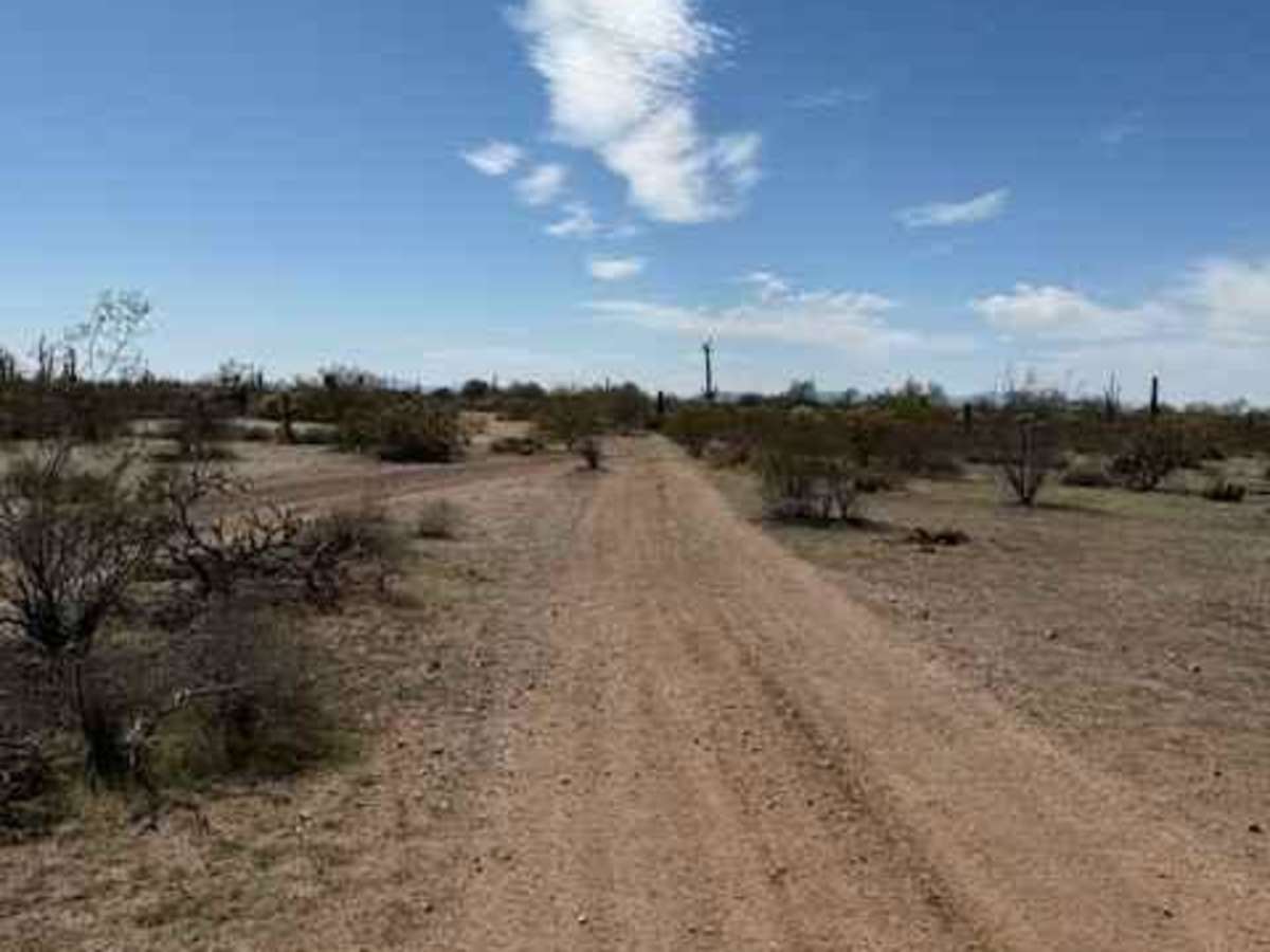 Nw2233 photo 4
