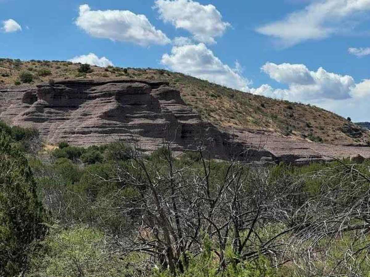 Cave Creek Road photo 6