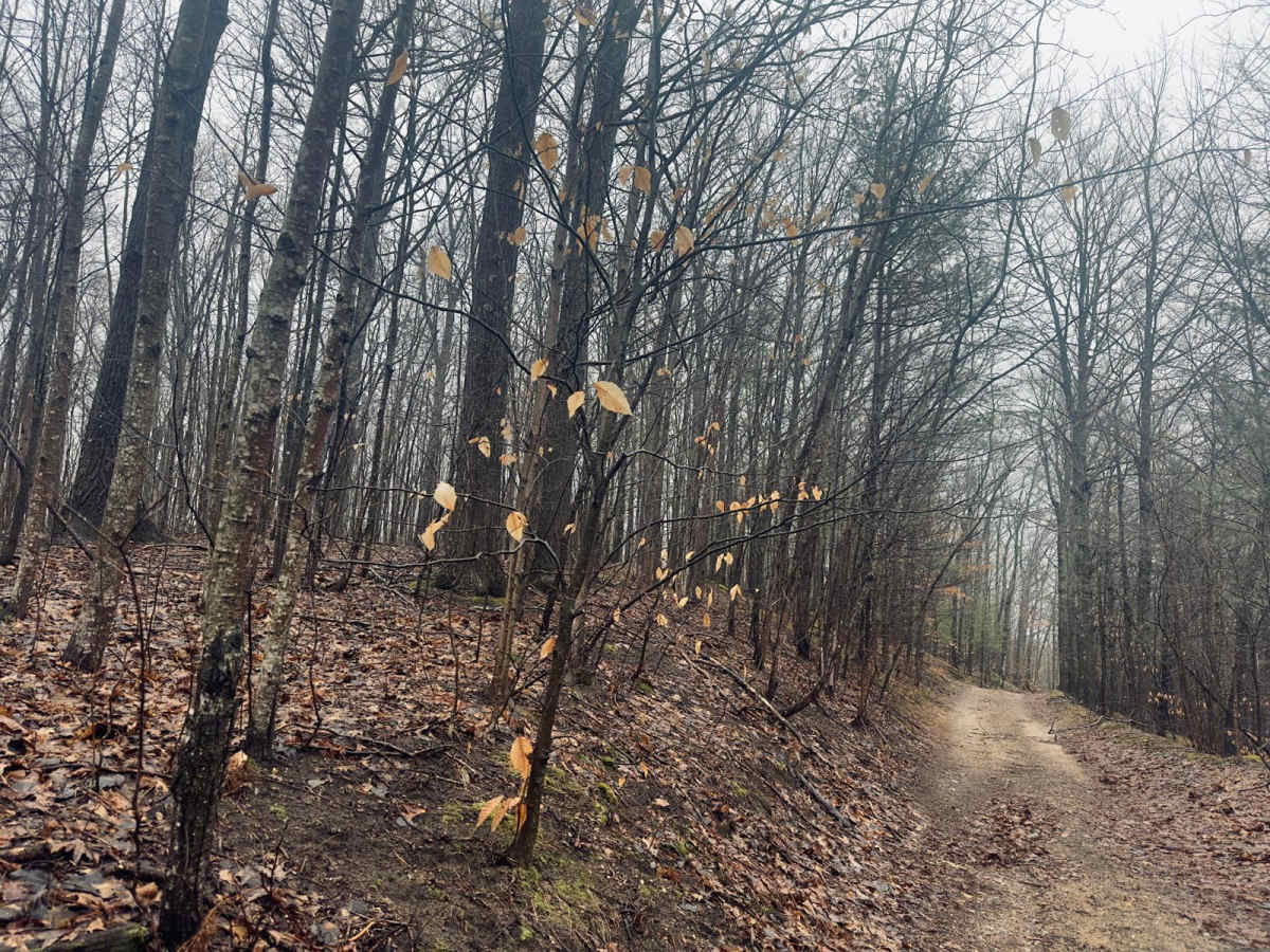 Haynes Lake Trail photo 6