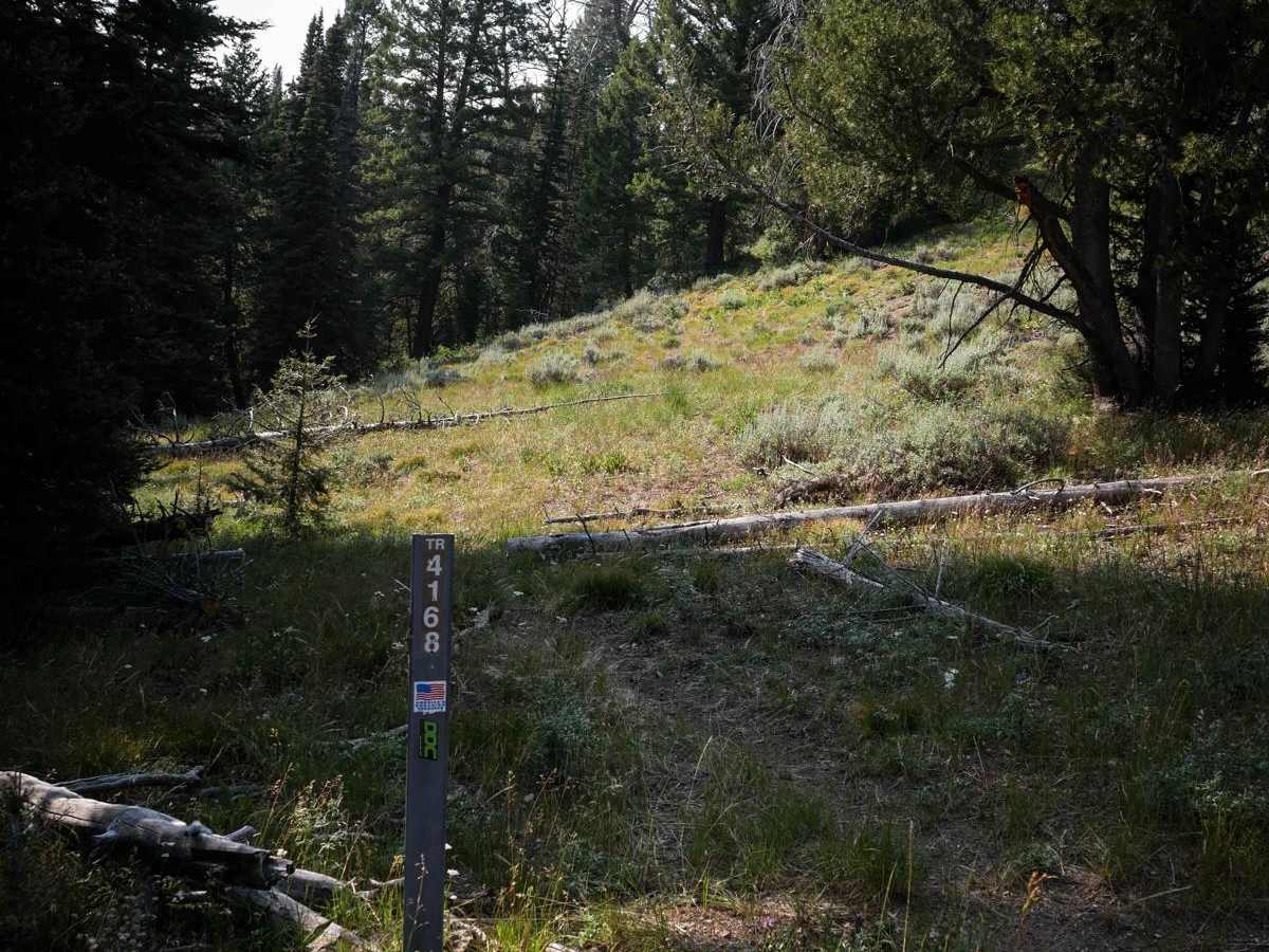 Silver Creek photo 2