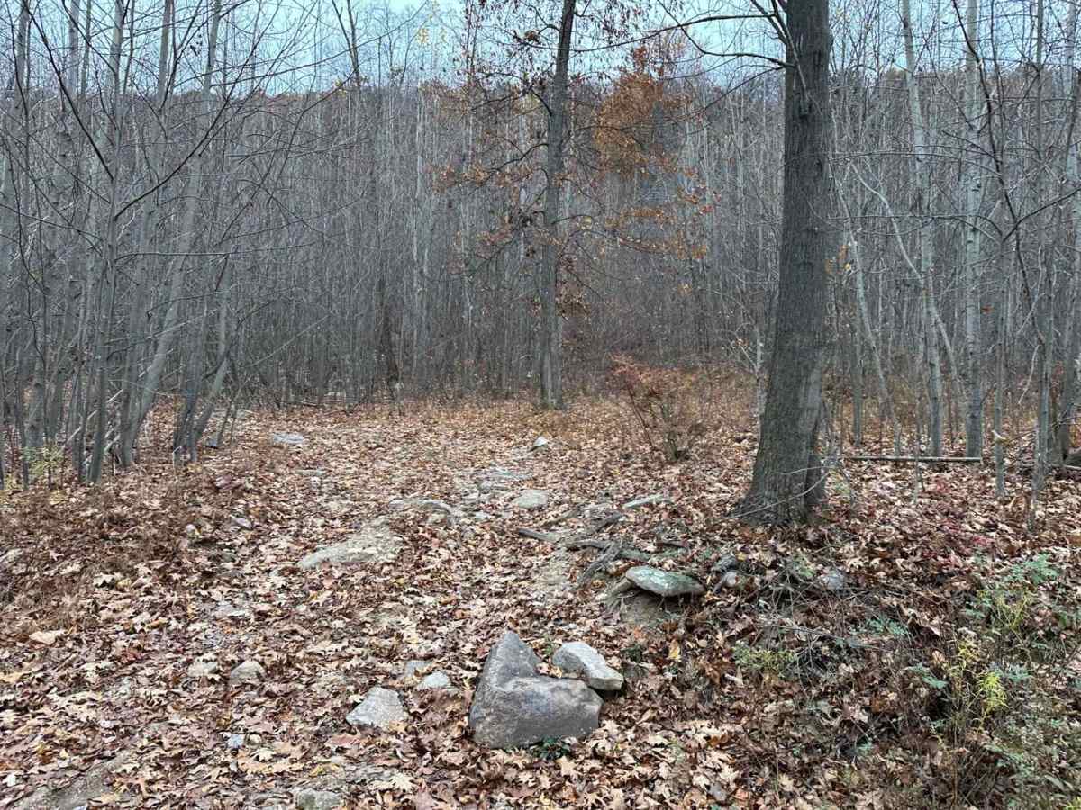 35 Blue Hillclimb photo 5