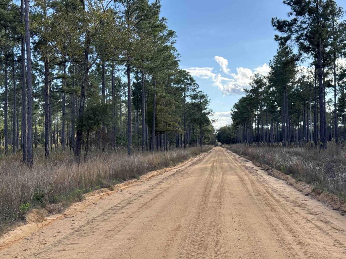 Chickasawhatchee Road photo 6