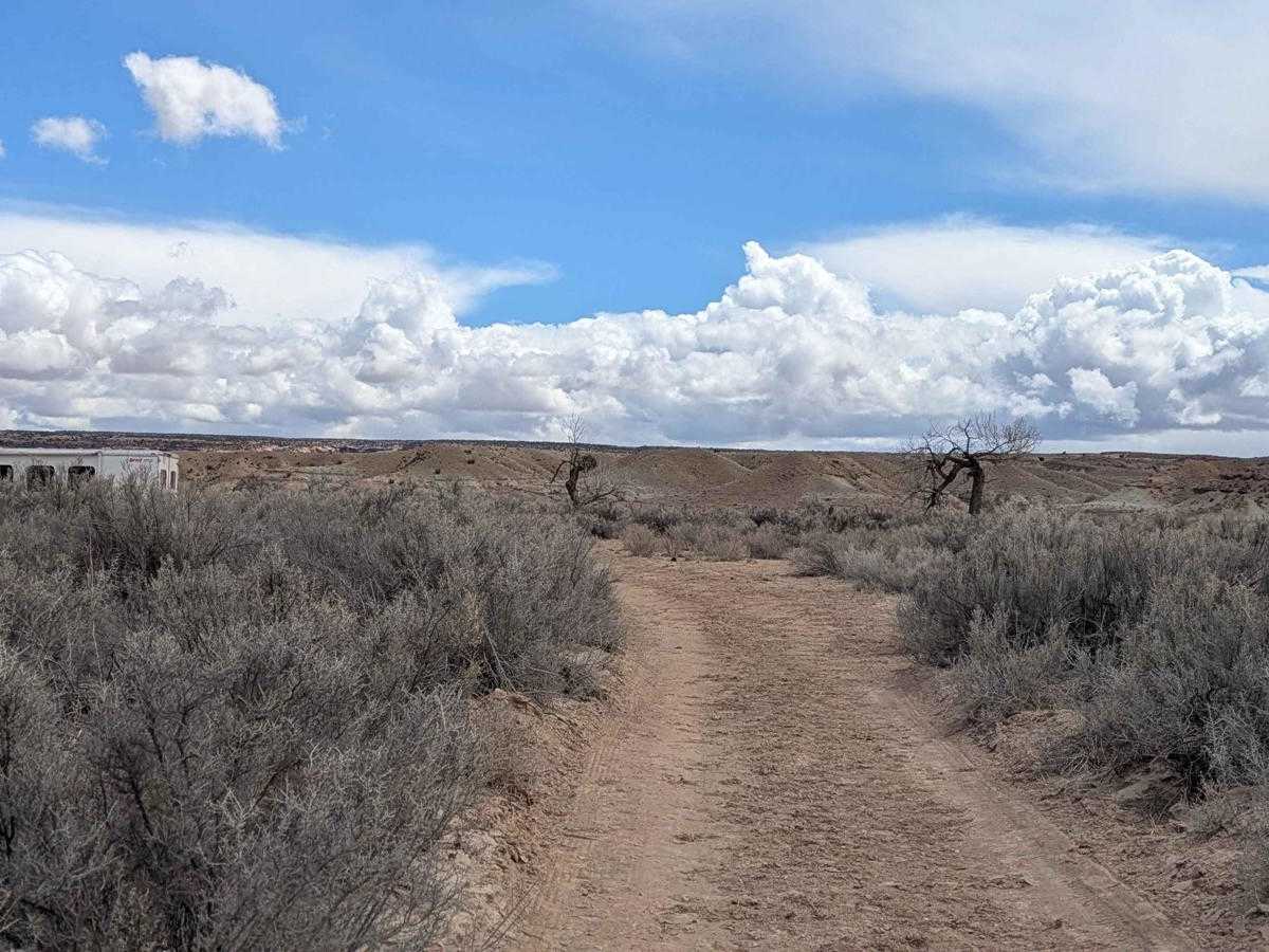 Little Wedge Road photo 4