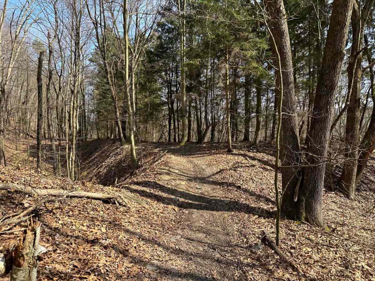 Ashland 98 photo 6