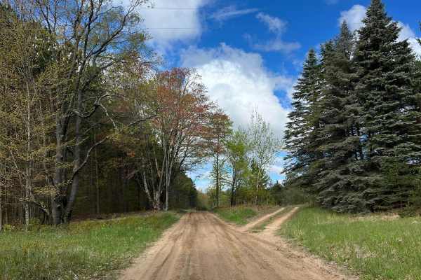 6 Trail