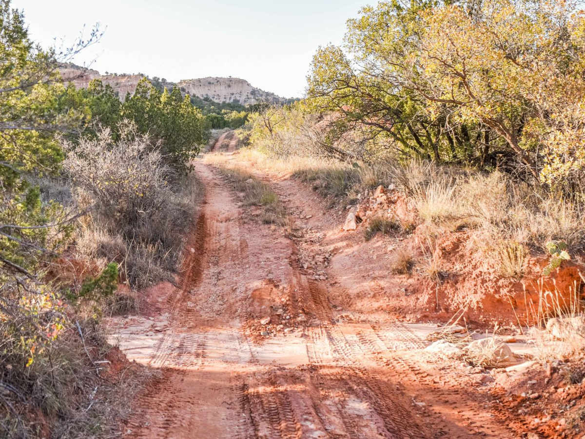 Roundabout trail photo