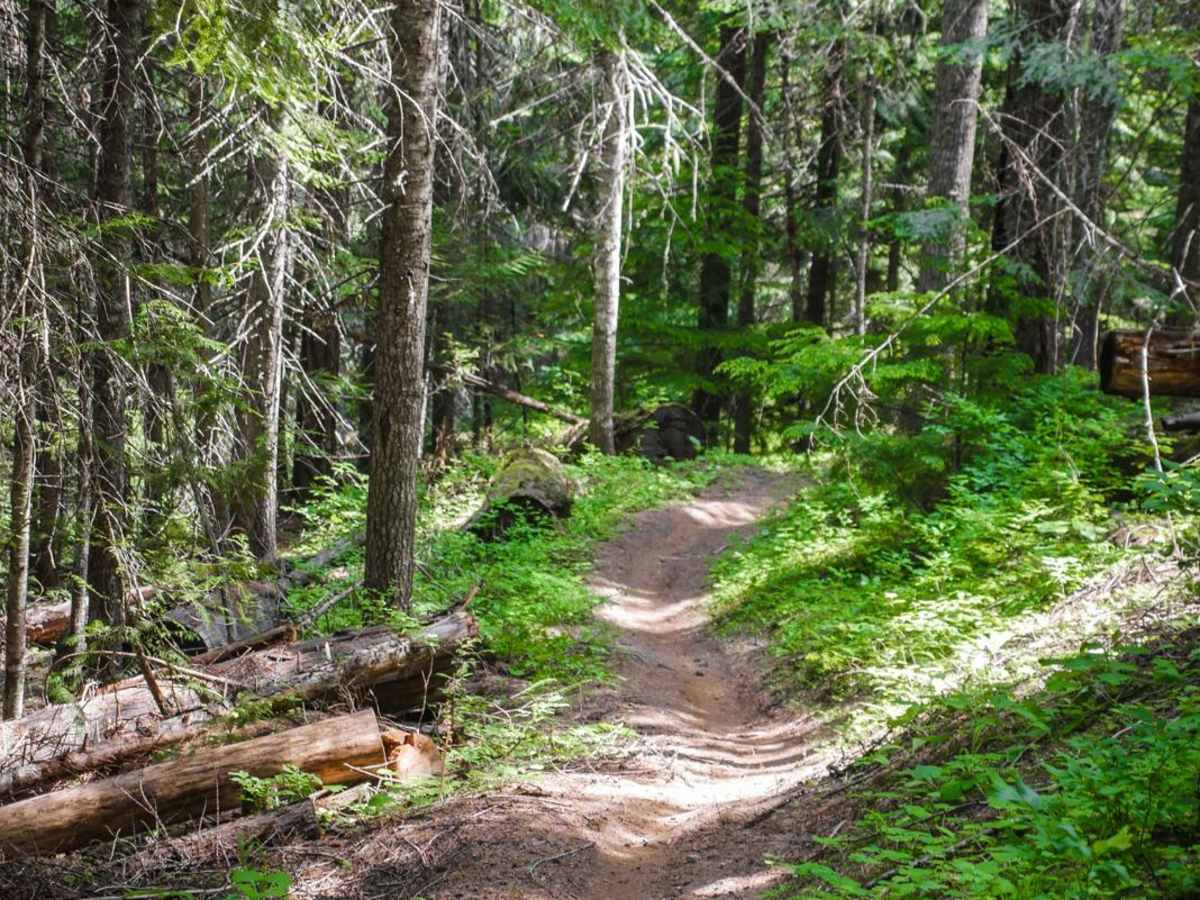 East Fork Meadow Creek No. 224 (Part 1) photo 4