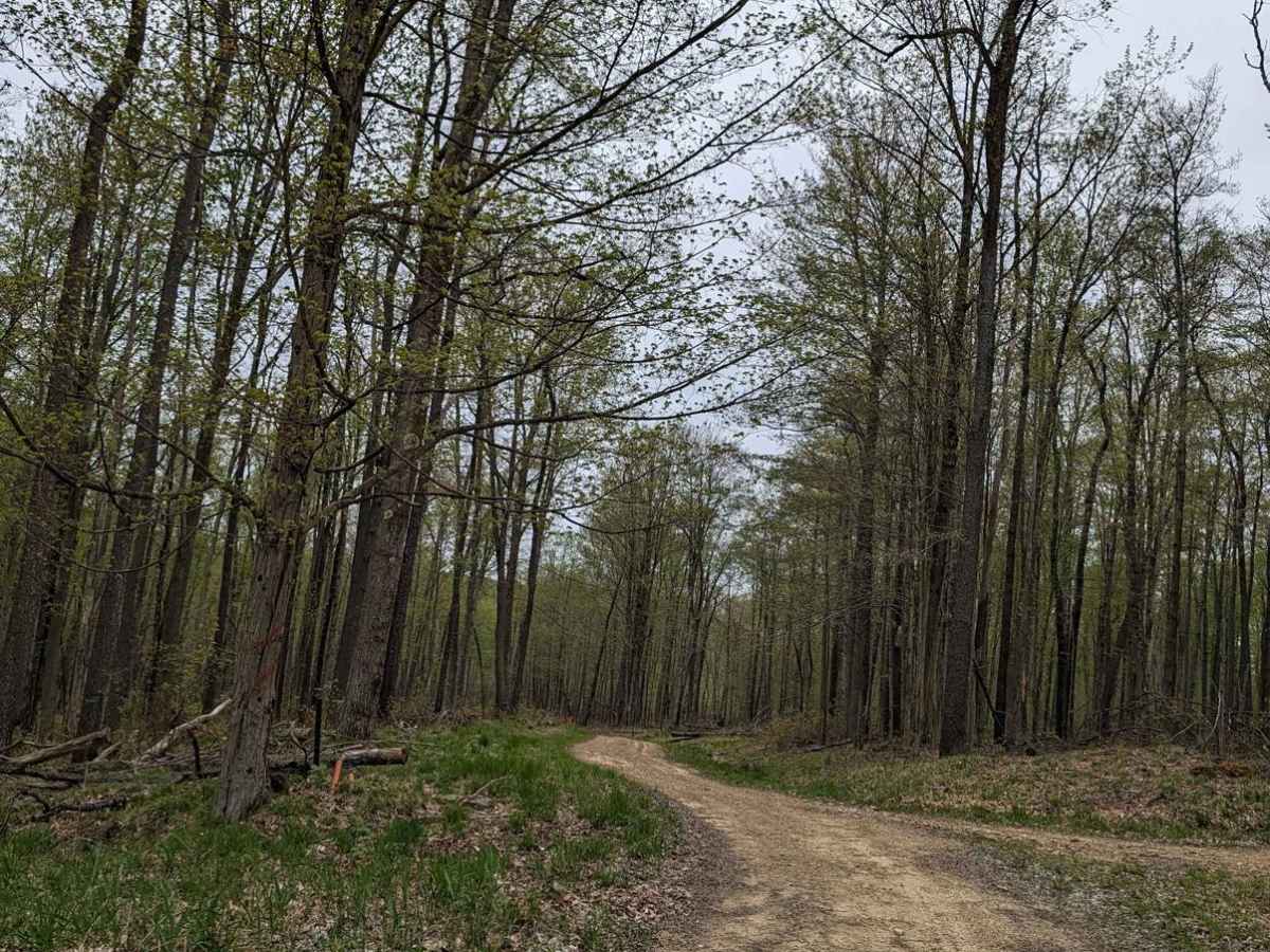 Blacksnake Run trail photo