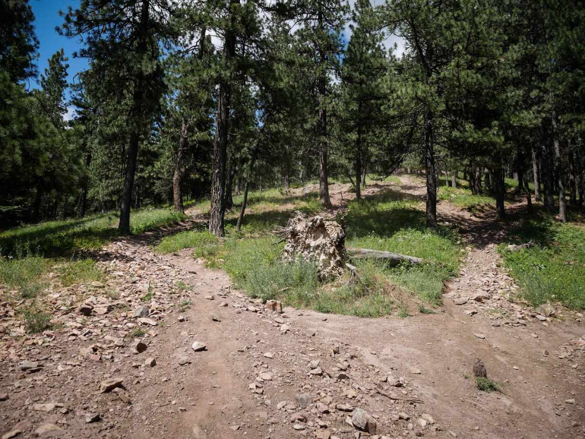 Canfield Mountain- Trail 1 photo 5