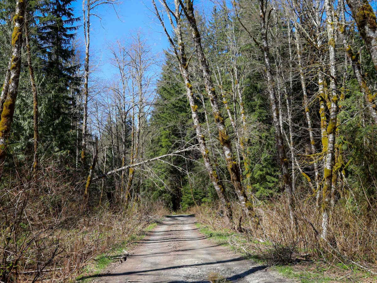 Rinker Ridge Road - Texas Pond trail photo