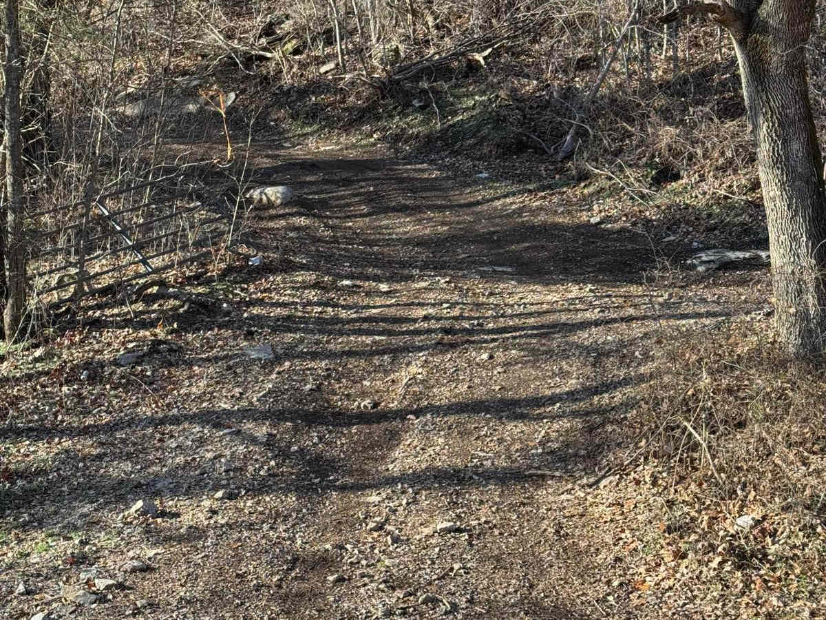 Green 312 trail photo