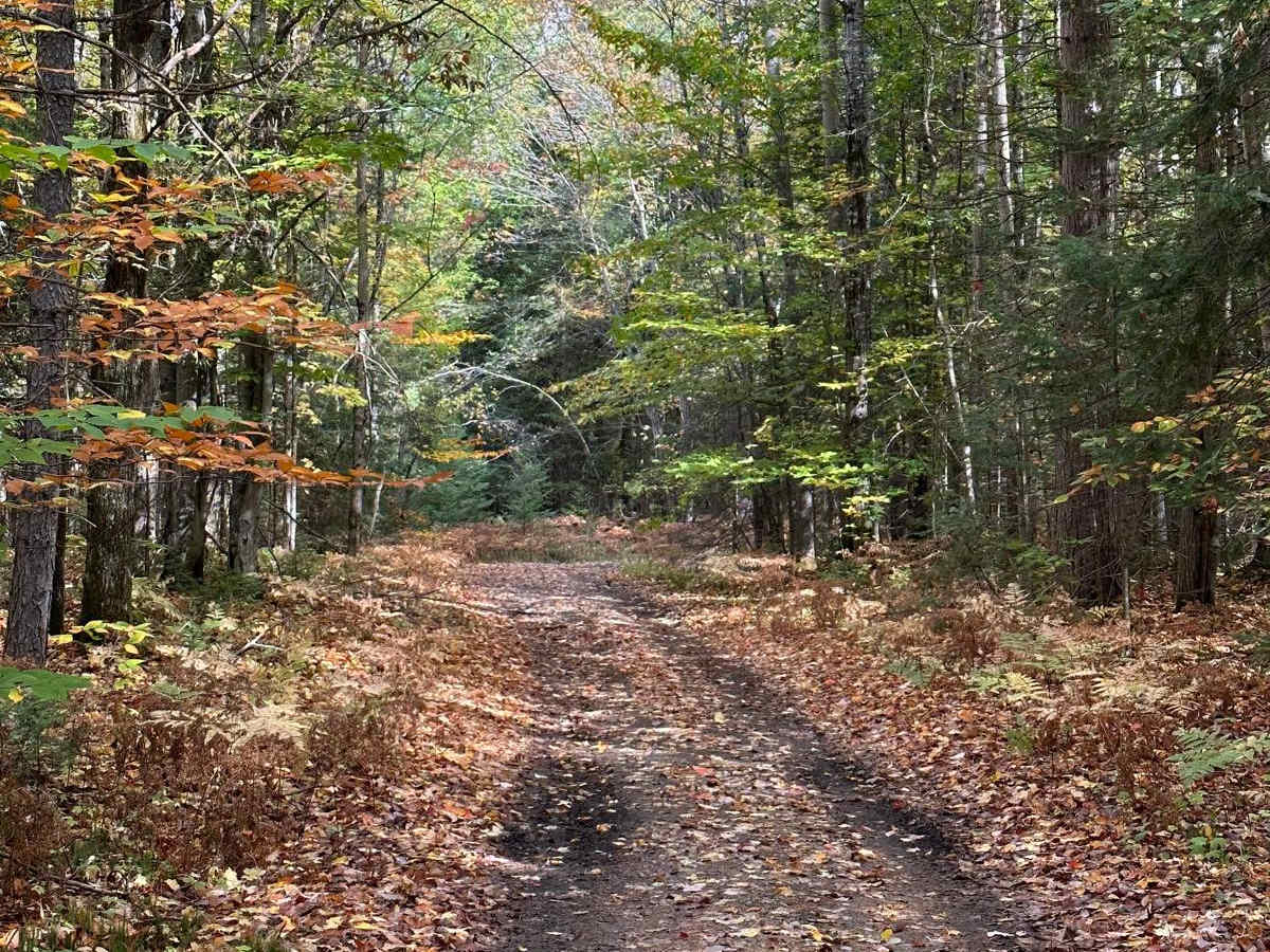 South Mott - FS 2793 photo 6
