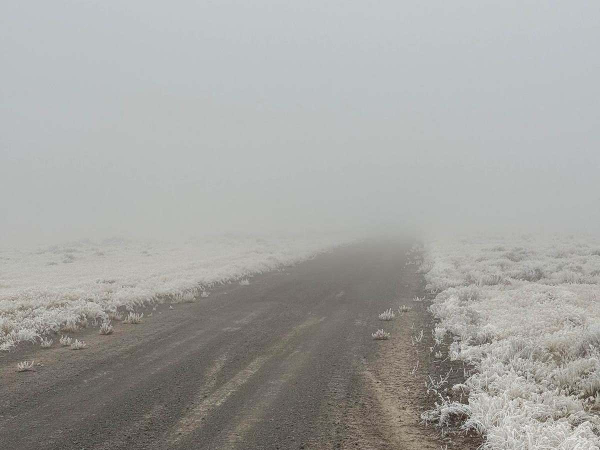 East Hogup Road trail photo