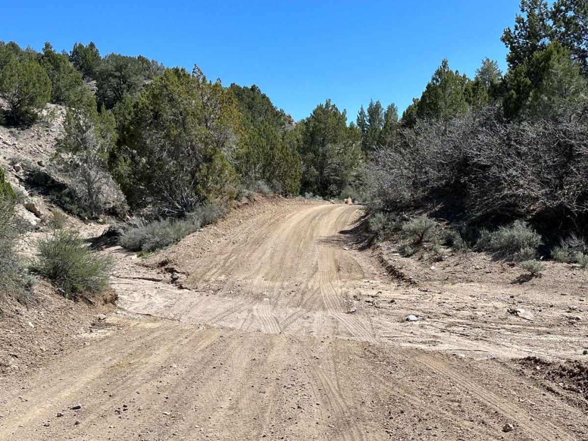 Barnes Canyon Road photo 5