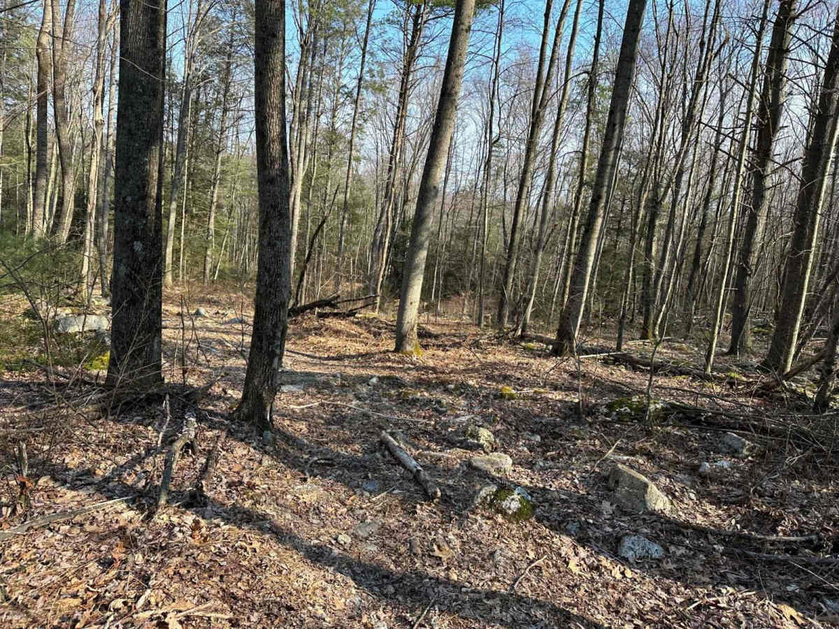 Tower City 34 trail photo