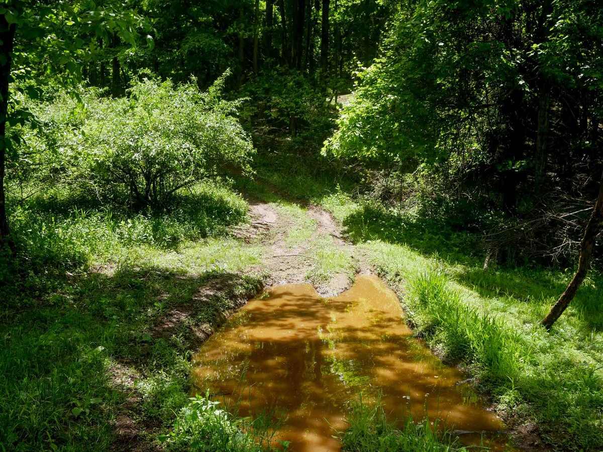 Trail 15 photo 6