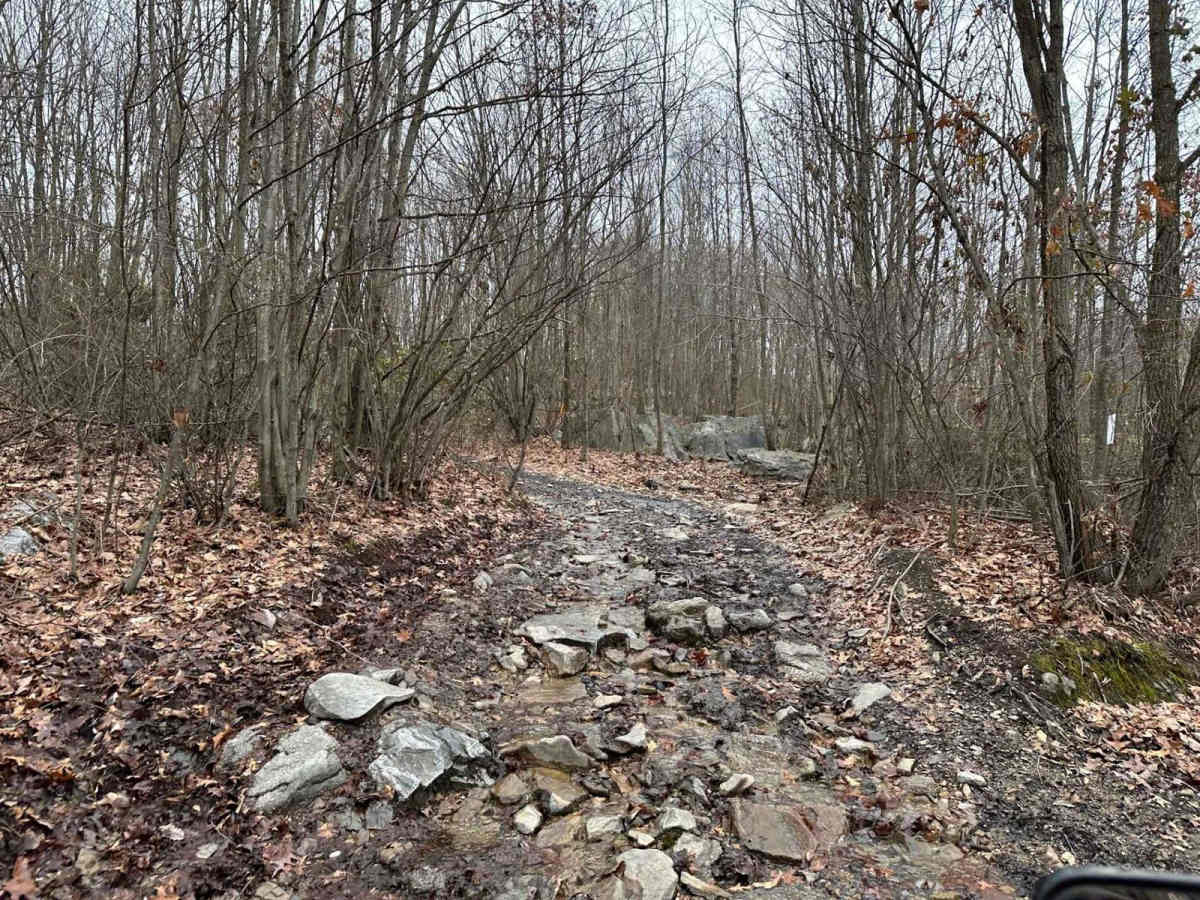 Road to Paradise trail photo