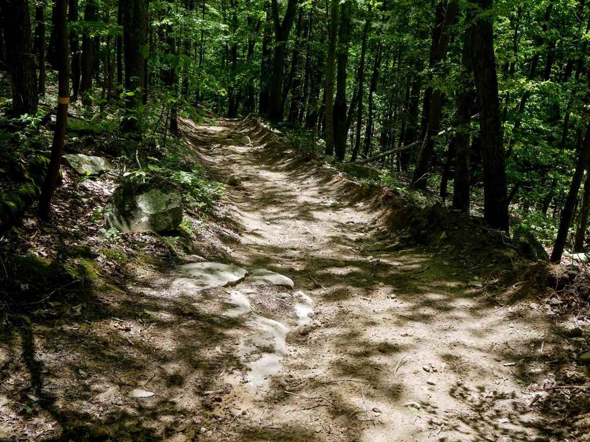 Trail 18 photo 6