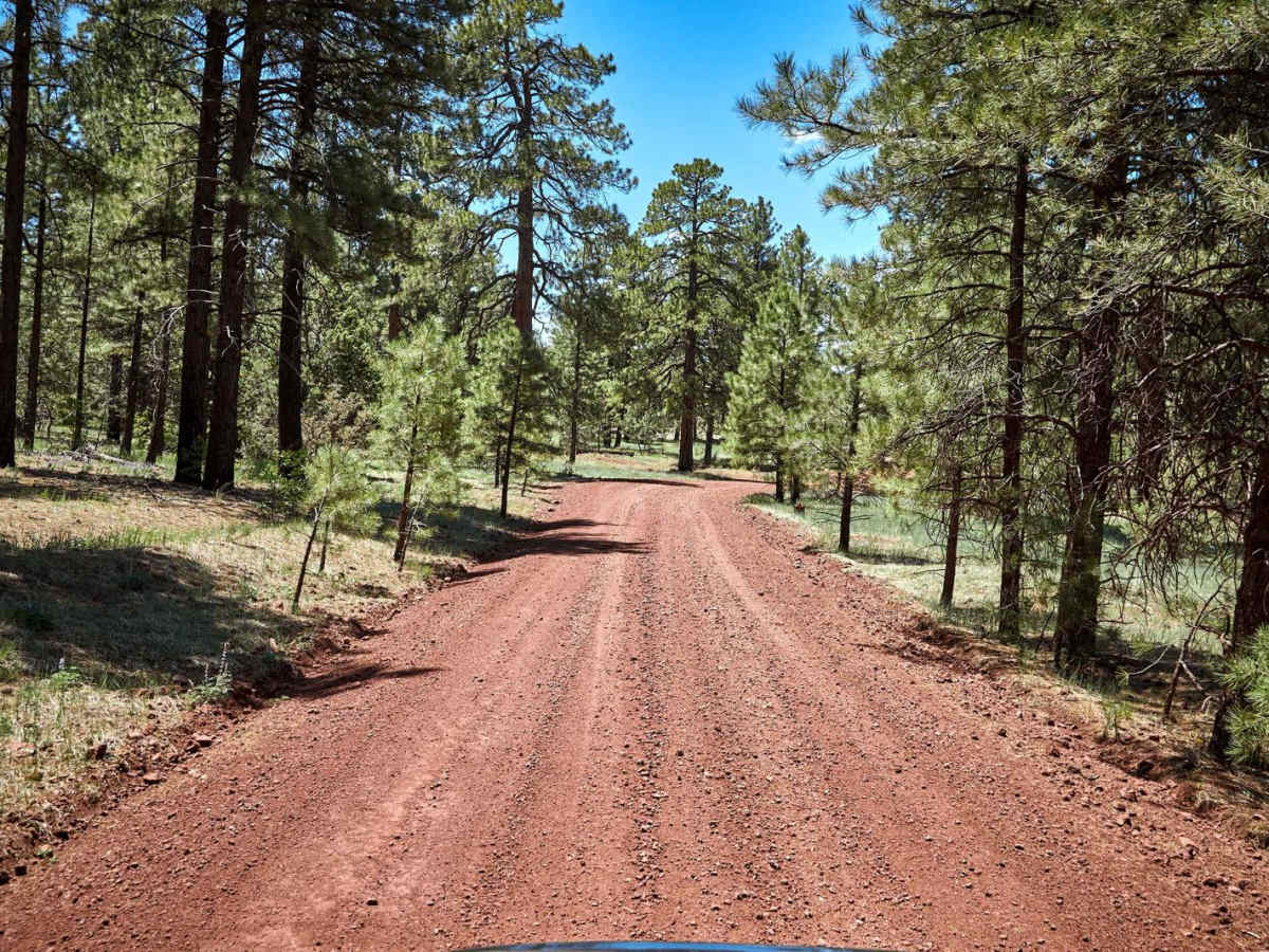 Loop Road / 108 South Section photo 4