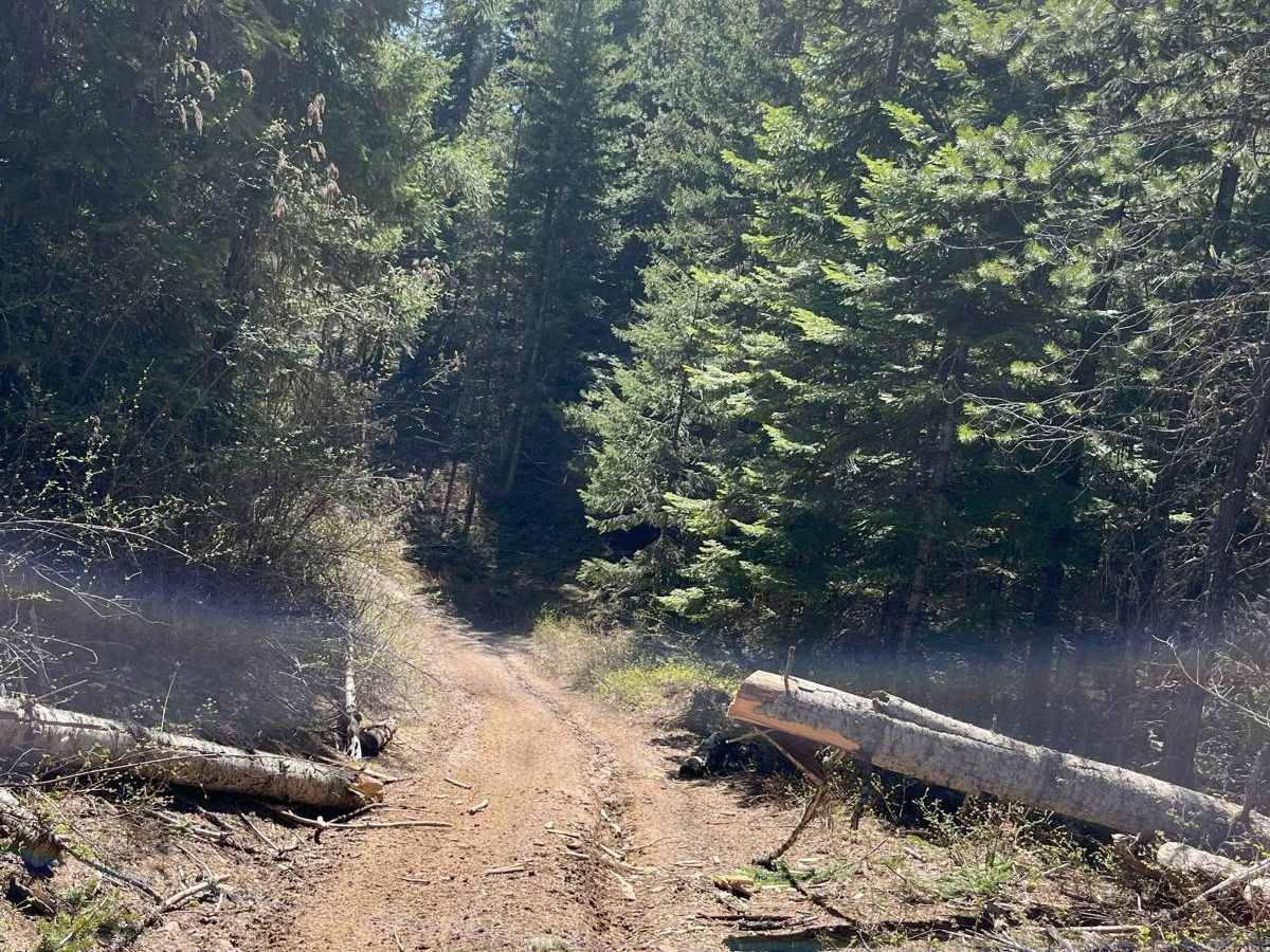 East Fork Big Bear Creek photo 3