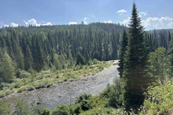 Stove Creek Road