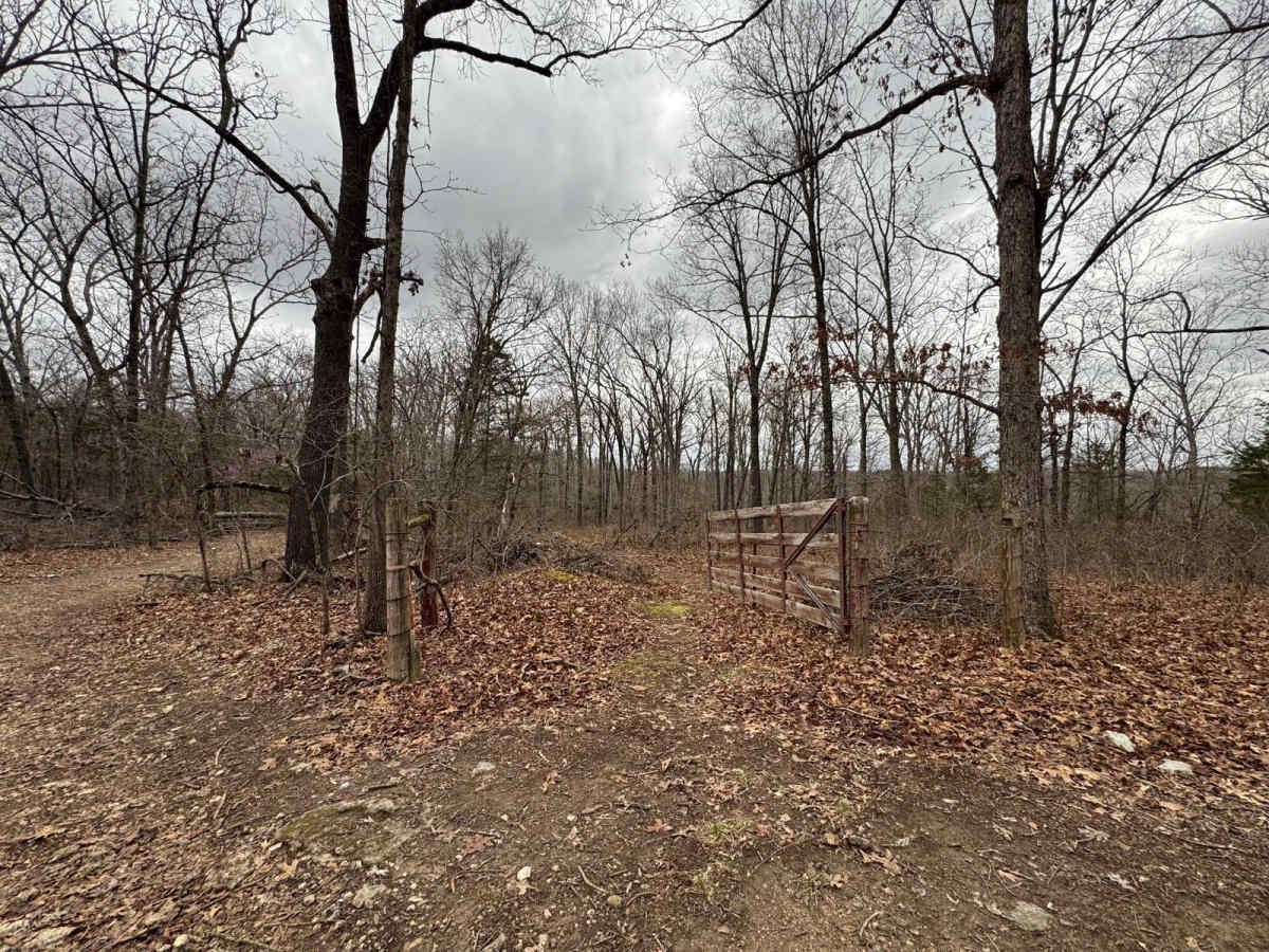 Wildcat Road photo 6